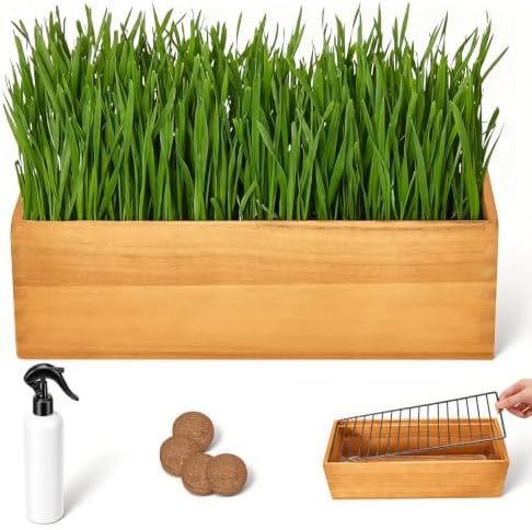 Wooden Cat Grass Planter (no Seeds Included) Anti Digging Design，with Anti-Digging Grid, Potting Soil Disks,Watering Bottle and Removable Plastic Liner,Cat Grass Kit for Indoor Cats Rabbits Pets