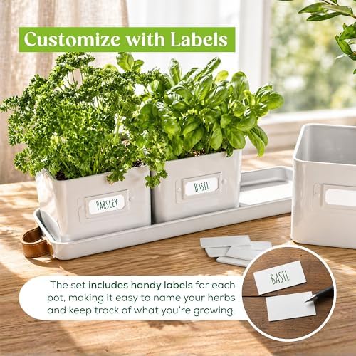 volila Herb Planter Indoor - Set of 3 Warmstone Indoor Herb Garden Pots for Plants with Leather Handled Tray - Window Sill Plant Shelf - Herb Pots with Drainage Holes and Labels