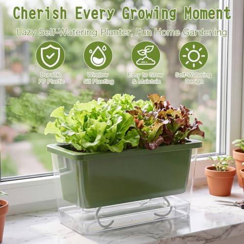 Lettuce Growing Container