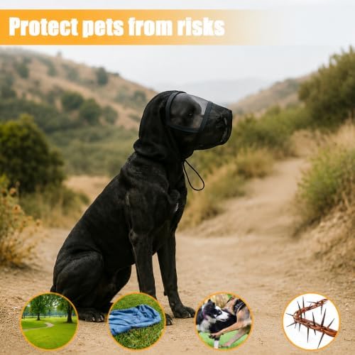 Foxtail Dog Mask with Clear Window - Vet-Recommended Safety Field Guard for Protection Against Foxtails, Insects and Rocks Breathable, Lightweight, Adjustable Drawstring Multiple(Black,M)
