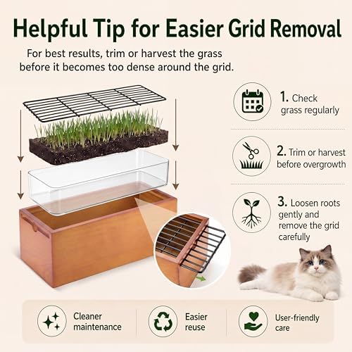 Wooden Cat Grass Planter for Indoor Cats, Wheat Grass Pot Kit with Soil Disks, Removable Anti-Digging Grid, Plastic Liner, No Seeds Included, Natural Wood, 12.6 x 4.7 x 4.3 in