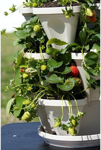 Vertical Garden Planter 4 Tier Stackable System 16 Plants, Space Saving Herb, Strawberry & Food Crop Planter with Center Support Hole for Indoor Outdoor Gardening (4, Stone, Small)