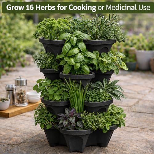 Vertical Garden Planter 4 Tier Stackable System 16 Plants, Space Saving Herb, Strawberry & Food Crop Planter with Center Support Hole for Indoor Outdoor Gardening (4, Midnight Black, Small)