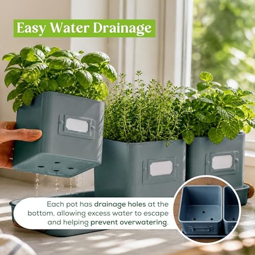 volila Herb Planter Indoor - Set of 3 Teal Blue Indoor Herb Garden Pots for Plants with Leather Handled Tray - Window Sill Plant Shelf - Herb Pots with Drainage Holes and Labels