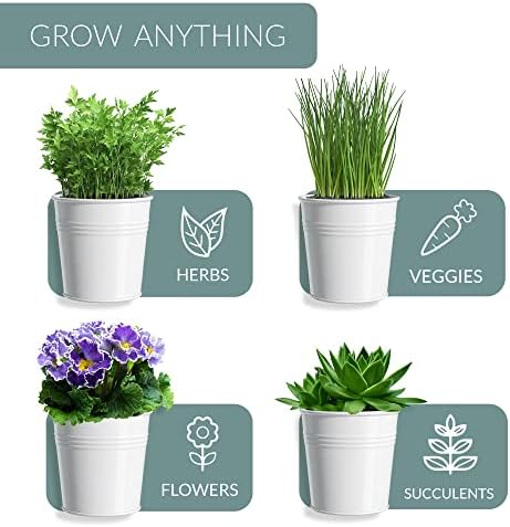 Barnyard Designs Indoor Herb Garden Planter Pots with Tray Set/3 (White)