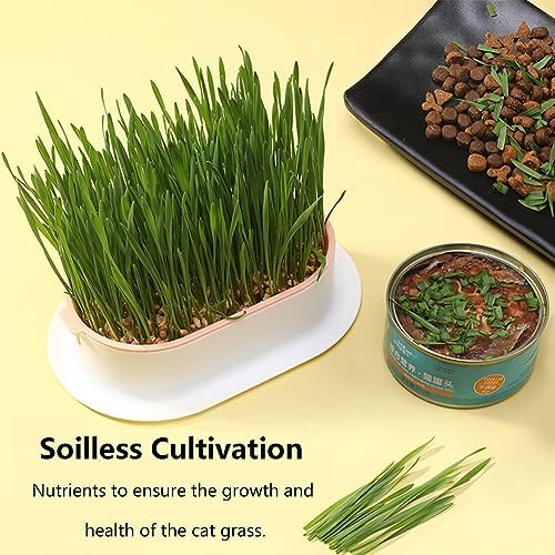 Cat Grass Planter, Hydroponic Cat Grass Box Trays for Sprouts Growing Kits, Indoor Gardening System for Pets, Soil-Free Planter(3PCS)