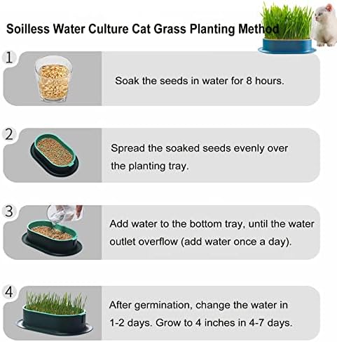 3Pcs Cat Grass Planter (No Seeds Included) Wheatgrass Planting Trays Hydroponic Cat Grass Growing Kits for Indoor Cats Soilless Organic Nursery Box Pet Grass Pot (I)