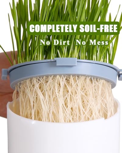 2Pcs Hydroponic Cat Grass Planter (no Seeds Included) for Indoor Cat