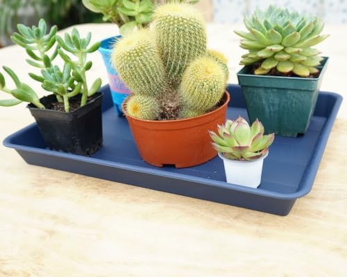 VUWEZ 4 Pack Plant Saucer Tray Rectangular, Plant Saucers for Indoors, Heavy Sturdy Plastic Plant Drainage Trays, Plant Drip Trays for Pots, Seed Starter Growing Tray (11 x 9 inch, Blue)