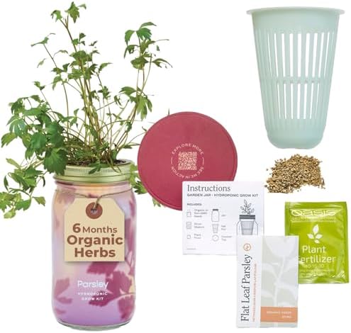 Modern Sprout Mason Garden Jar - Self-Watering Hydroponics Kit - Parsley