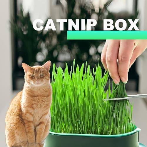 3Pcs Cat Grass Planter, Plastic Wheatgrass Planting Trays Hydroponic Cat Grass Growing Kits for Indoor Cats Soilless Nursery Box Pet Grass Pot (3 Color)