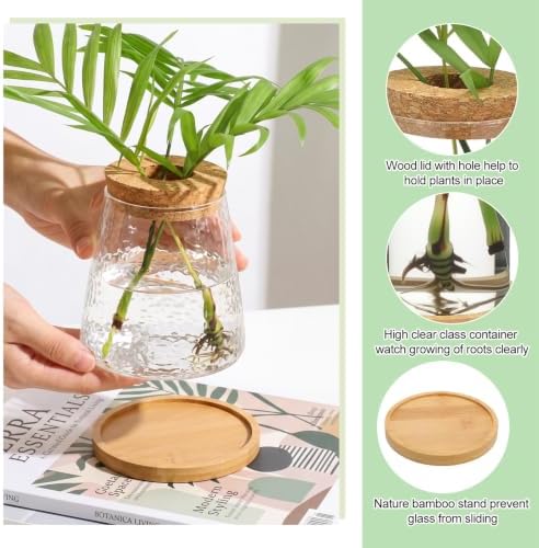 Honeydak 6 Pcs Plants Propagation Stations Planter Terrariums with Wooden Lid and Bamboo Stand Hammered Glass Propagation Vases for Plant Growing Hydroponic Home Office Tabletop Decoration
