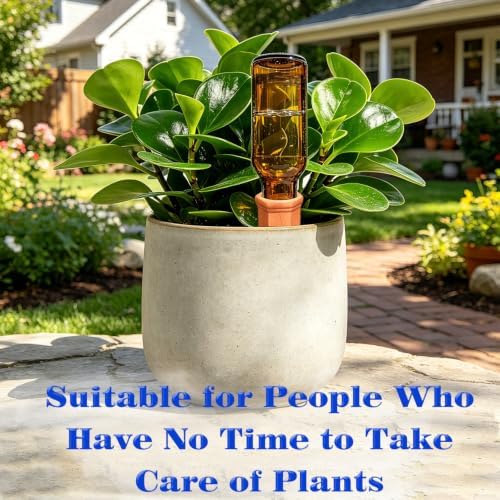 Terracotta Plant Watering Devices, Outdoor Indoor Plant Self Waterer Spikes