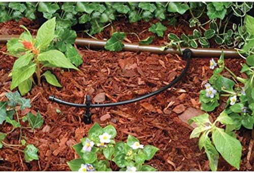 Rain Bird T22-50S Drip Distribution Tubing, 1/4"