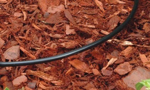 Rain Bird T22-100S Drip Irrigation 1/4" Blank Distribution Tubing, 100' Roll, Black (Pack of 4)