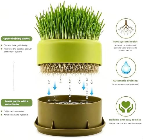 Hydroponic Cat Grass Planter, Plastic Catnip Cat Grass Box 5.31"x2.56", Soil-Free Anti-Digging Planting Trays, Wheatgrass Growing Pot for Indoor Cats Pets (Green)