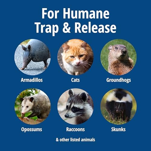 Havahart Large 1-Door Live Animal Trap for Raccoons, Cats, Bobcats, Beavers