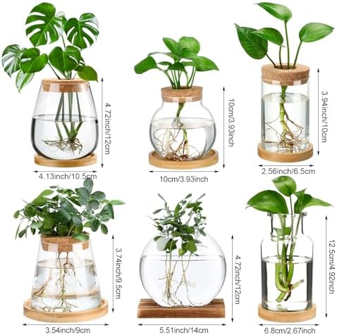 Honeydak 6 Pcs Plants Propagation Stations Desktop Glass Propagation Vases