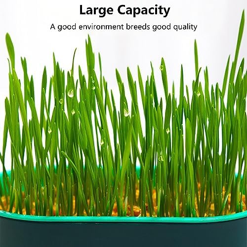 3Pcs Cat Grass Planter Set,Hydroponic Cat-Grasss-Box,Cat Grasss Growing Kits Nursery Plant Planting Box-for Indoor Cats Soilless Nursery-Box-Pet-Grass Pot,Only Planter Pot