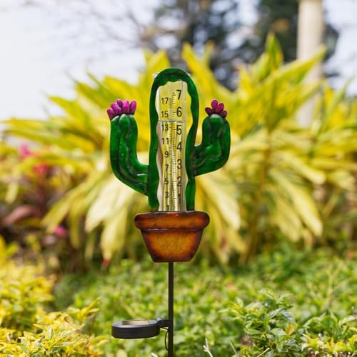 Stargarden Solar Rain Gauge Outdoor, Cactus Solar Powered Rain Gauge