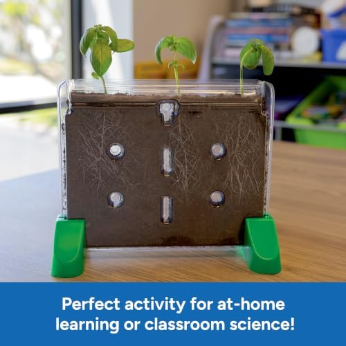 Educational Insights Sprout & Grow Window - See-Through Sprouts Growing Kit, Kids Gardening Set, Kid-Friendly Science Kits, Root Viewer, Gardening Kit for Kids, Indoor Classroom Planter, Ages 5+