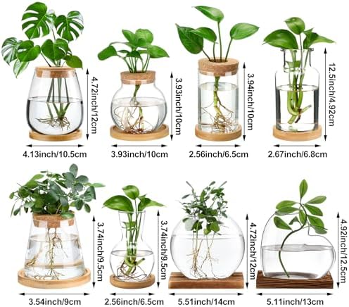 Honeydak 8 Pcs Plants Propagation Stations Desktop Glass Propagation Vases