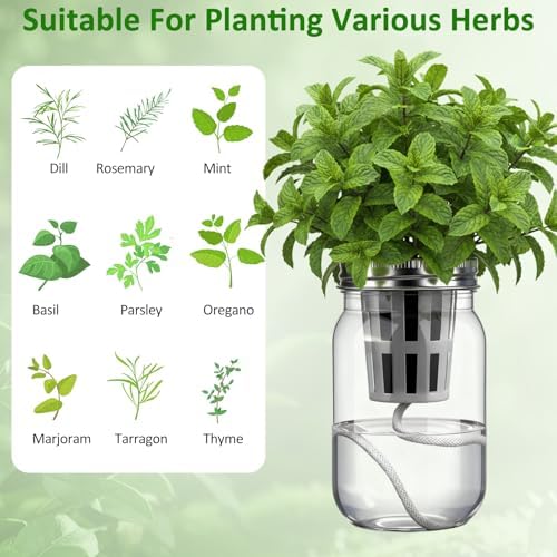 Teenyyou 12 Set Hydroponic Garden Mason Jar Kit Self Watering Herb Hydroponic Planter Starter Kit with Net Pot Garden Flower Plant Growing Gift for Indoor Herbs Windowsill Gardening