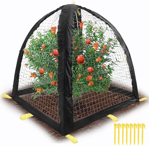 Large Pest Guard Cover-35 x35 x 39 Inch Pest Guard Tent with Stakes-Garden Plants Cloche Tent for Protect Plants Vegetables Fruits Shrubs from Squirrel Bird Eating (L)