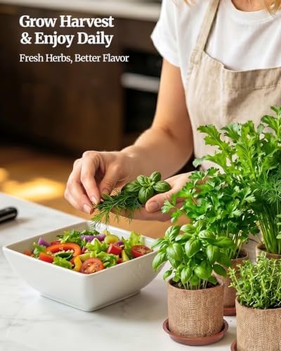 Planters' Choice Herb Growing Starter Kit, Windowsill Indoor Garden Set, Best Birthday & Housewarming Gift for Women