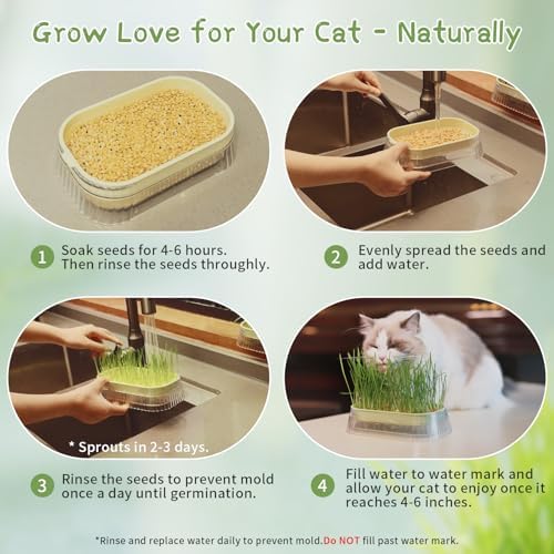 Cat Grass for Indoor Cats with 5Pack Non GMO Seeds, Organic Grass Growing Kit, Soil-Free Planter, Perfect for Beginners, Ideal Birthday Gift for Cat Lovers