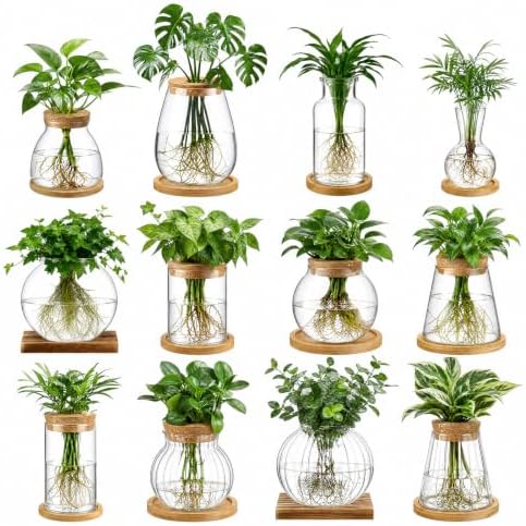 Honeydak 12 Pcs Plants Propagation Stations Desktop Glass Propagation Vases
