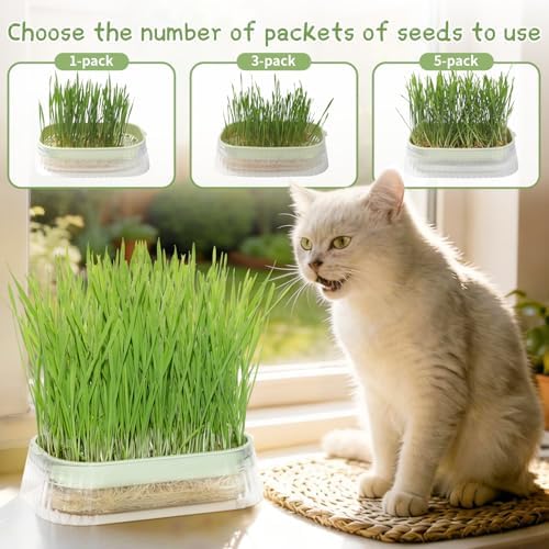 Hydroponic Cat Grass Grow Kit with 5Pack Non GMO Seeds, Organic Grass Growing Kit, Cat Grass for Indoor Cats, Soil-Free Planter, Perfect for Beginners, Ideal Birthday Gift for Cat Lovers