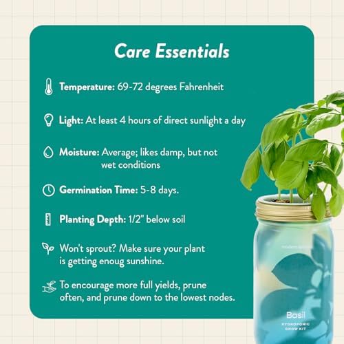 Modern Sprout Mason Garden Jar - Self-Watering Hydroponics Kit - Basil