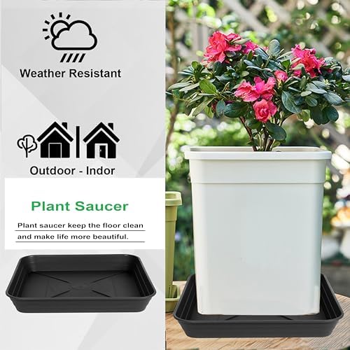 4 Pack Square Plant Saucer Tray 14 inch, Heavy Duty Plastic Plant Saucers for Indoors Outdoor, Flower Plant Drip Trays for Pots, Square Seed Starting Tray, Seedling Growing Trays