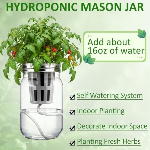 Teenyyou 12 Set Hydroponic Garden Mason Jar Kit Self Watering Herb Hydroponic Planter Starter Kit with Net Pot Garden Flower Plant Growing Gift for Indoor Herbs Windowsill Gardening