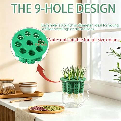 2Set Green Onion Planter Scallion Regrower Seed Sprouting Kit