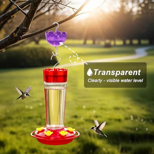 6-Pack Ant Moat for Hummingbird Feeders 4OZ