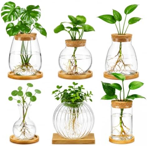 Honeydak 6 Pcs Plants Propagation Stations Glass Propagation Ribbed Vases
