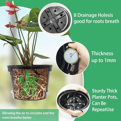 RooTrimmer 12 Pack Plant Pots, 8 Inch Plant Planter with Clear Saucer, Plastic Pots for Plants Indoor and Out Door Such as Strawberry, Herb and Flowers (Black)