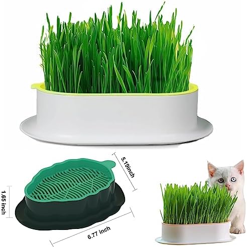 2Pcs Cat Grass Planter (No Seeds Included) Wheatgrass Planting Trays Hydroponic Cat Grass Growing Kits for Indoor Cats Soilless Organic Nursery Box Pet Grass Pot (M)