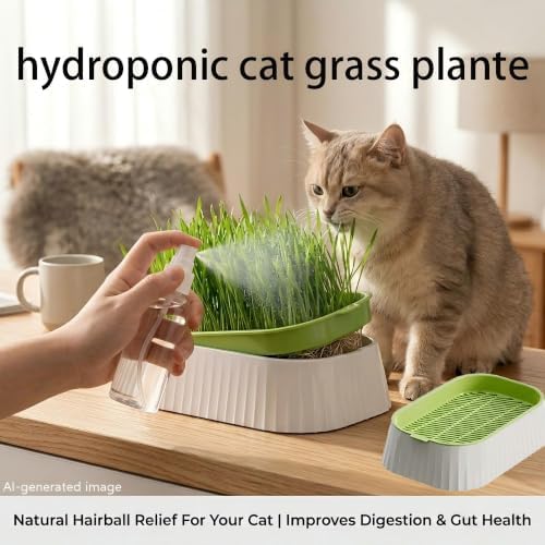 Organic Cat Grass Planter Indoor Hydroponic Wheatgrass Seed Sprout Tray