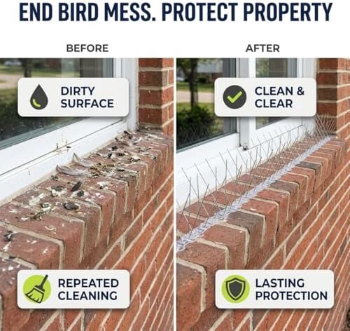 Bird-X Stainless Bird Spikes 8-Inch Extra-Wide, 2 Ft Strips, 100 Feet