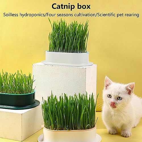 3Pcs Cat Grass Planter Set,Hydroponic Cat-Grasss-Box,Cat Grasss Growing Kits Nursery Plant Planting Box-for Indoor Cats Soilless Nursery-Box-Pet-Grass Pot,Only Planter Pot