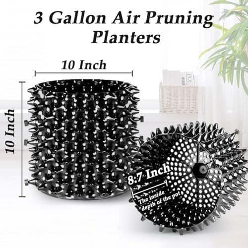 RooTrimmer 3 Gallon Air Pruning Container New Plastic Nursery Pot Fruit Vegetable Garden self-Planting pots, Size 10"x10", Black