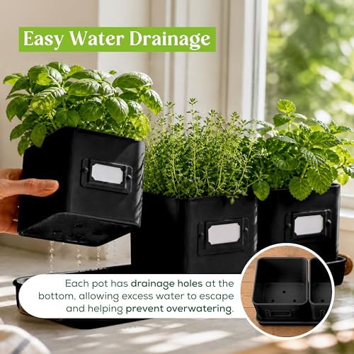 volila Herb Planter Indoor - Set of 3 Black Indoor Herb Garden Pots for Plants with Leather Handled Tray - Window Sill Plant Shelf - Herb Pots with Drainage Holes and Labels