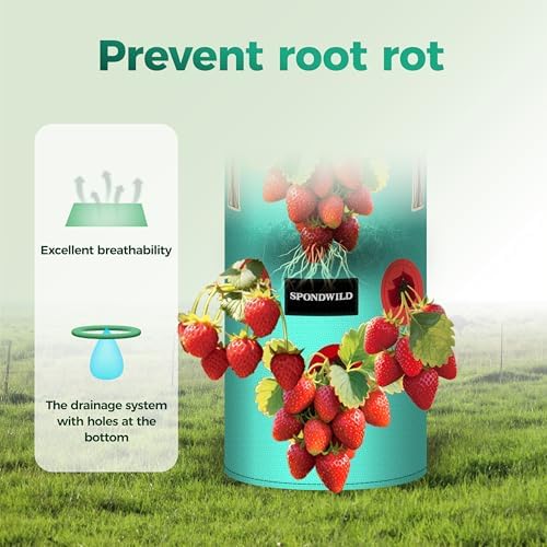 3 Pack 2 Gallon Hanging Strawberry Planter Bags for Tomatoes
