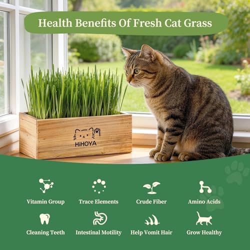 Cat Grass Kit for Indoor Cats - 5 Packets of Seeds, Cat Grass Planter Wooden Growing Kit, 5-Time Plant Starter Pack with 6 Soil Discs, Trimming Scissors, Spray Bottle, and Mini Tools