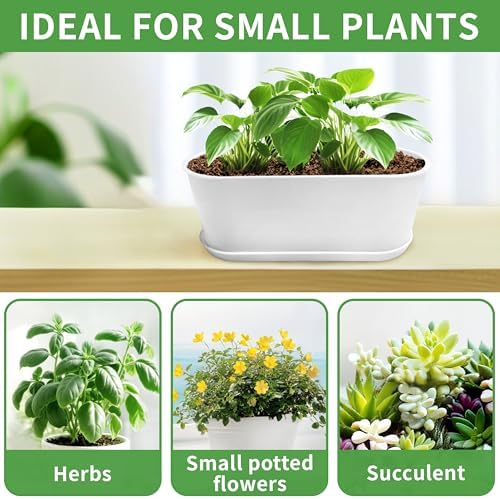 5 Set Window Herb Planter Box Rectangular,8.5x3.5 Inch White Plastic Planters with Multiple Drainage Holes and Trays,Indoor Succulent Cactus Mint Flower Pot for Windowsill,Garden Balcony