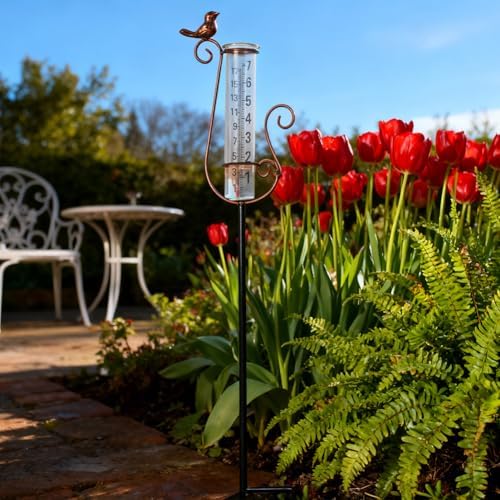 Rain Gauge Outdoor with 7 Inch Glass Tube