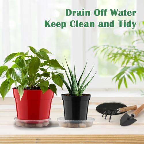 RooTrimmer 20 Pack 6 Inch Plant Pots, Thickened Plastic Flower Pots with 20 Pcs Water Collecting Trays, 20 Soil Block Mesh Pads, Red